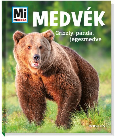 Medvék – Grizzly, panda, jegesmedve Mi MICSODA