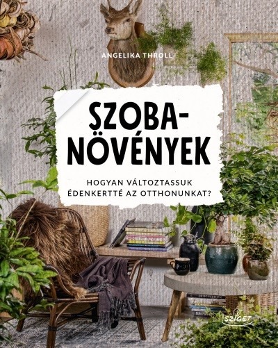 Szobanövények - Hogyan változtassuk édenkertté az otthonunkat?