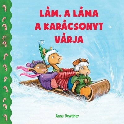 Lám, a láma a karácsonyt várja §K