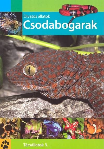 CSODABOGARAK /DIVATOS ÁLLATOK /TÁRSÁLLATOK 3.