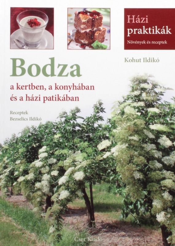 Bodza a kertben, a konyhában és a házi patikában