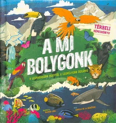 A mi bolygónk - A legmagasabb hegytől a legmélyebb óceánig /Térbeli mesekönyv