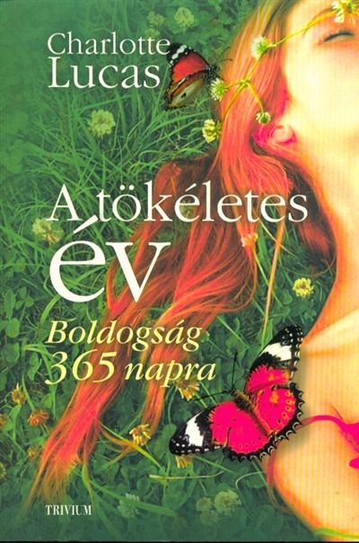 A tökéletes év - Boldogság 365 napra