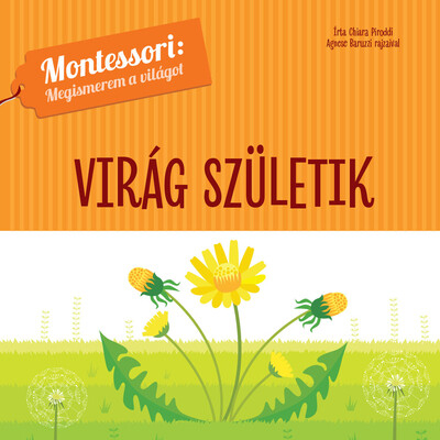 Virág születik - Montessori: Megismerem a világot