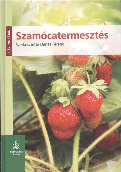 Szamócatermesztés /Házunk táján