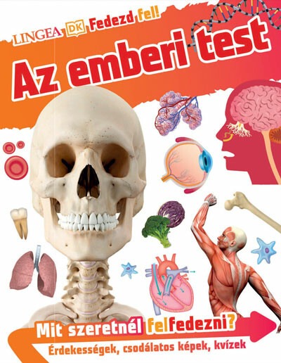 Az emberi test - Fedezd fel!