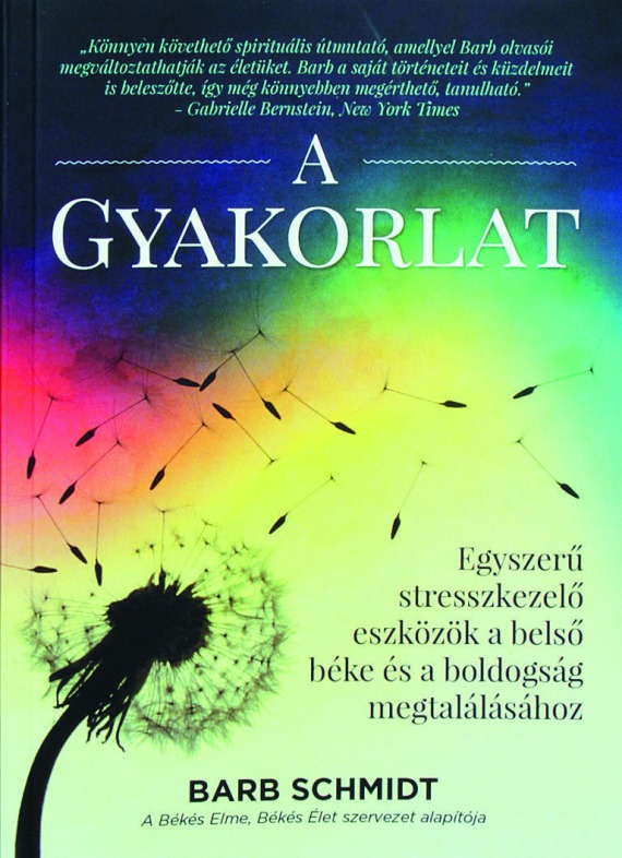 A gyakorlat