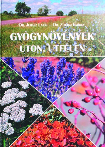 Gyógynövények úton, útfélen