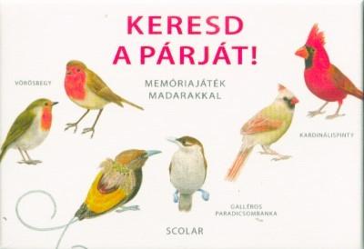 Keresd a párját! - Memóriajáték madarakkal