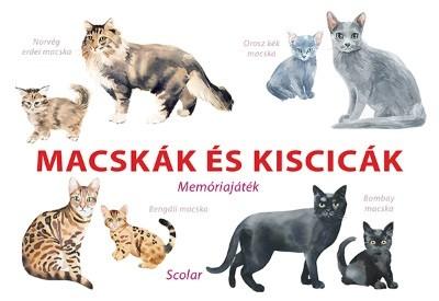 Macskák és kiscicák - Memóriajáték