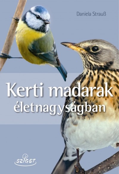 Kerti madarak életnagyságban 