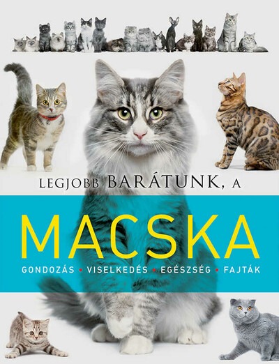 Legjobb barátunk a macska - Legjobb barátunk...