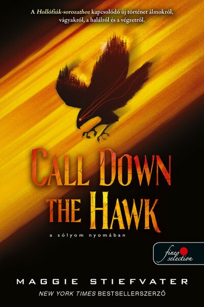 Call Down the Hawk - A sólyom nyomában - Álmodok-trilógia 1.