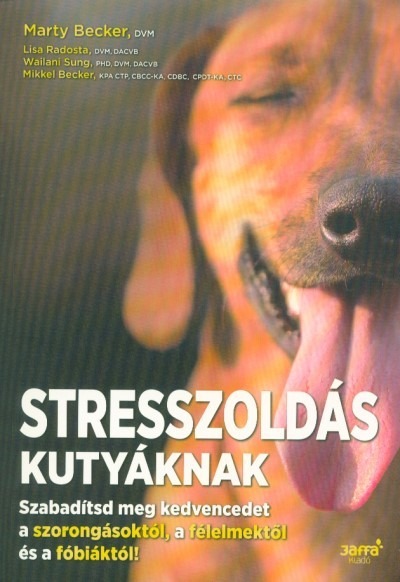 Stresszoldás kutyáknak