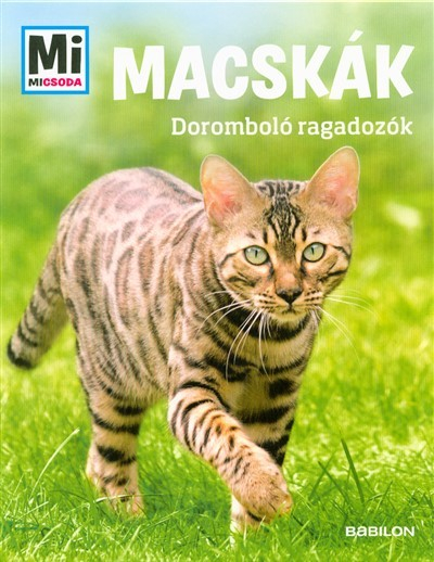 Macskák - Doromboló ragadozók /Mi Micsoda