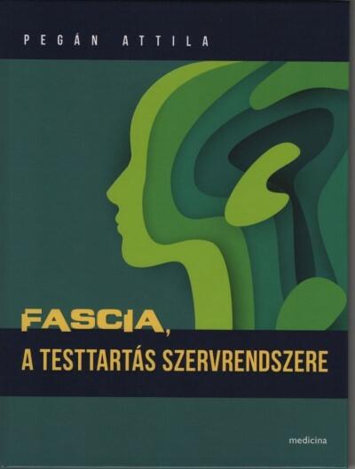 Fascia, a testtartás szervrendszere