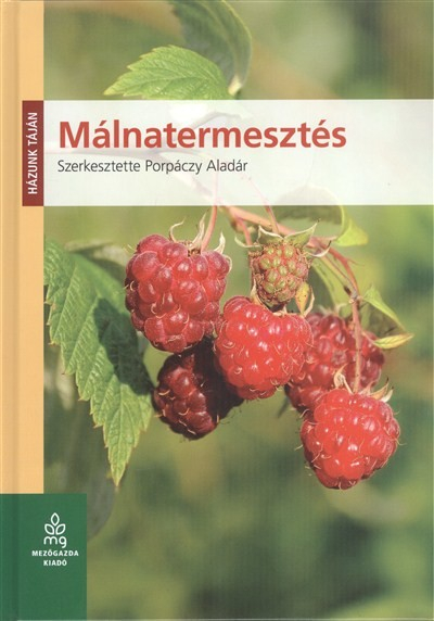 Málnatermesztés /Házunk táján