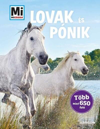 Lovak és pónik - Több mint 650 fotó - Mi MICSODA