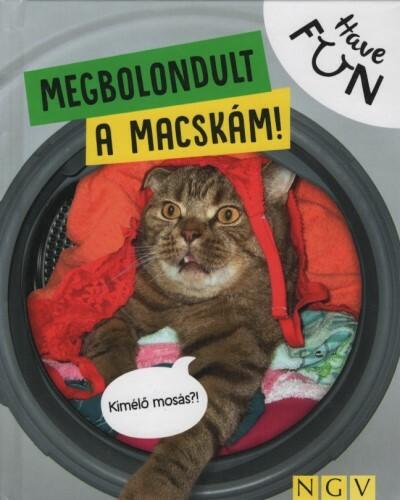 Megbolondult a macskám! - Have FUN