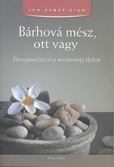 Bárhová mész, ott vagy /Éberségmeditáció a mindennapi életben