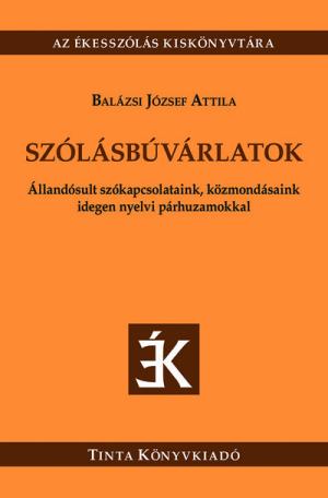 Szólásbúvárlatok - Állandósult szókapcsolataink, közmondásaink idegen nyelvi párhuzamokkal