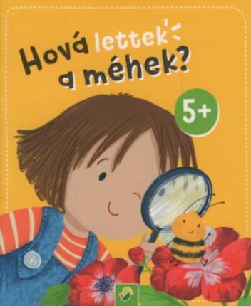 Hová lettek a méhek? - Minikönyv