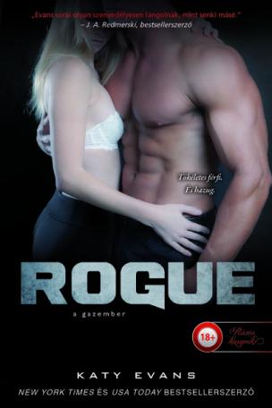 Rogue - A gazember - Valós 4.