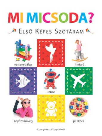 Mi micsoda? - Első képes szótáram - Szivacskönyv