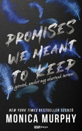 Promises We Meant to Keep - Az ígéretek, amiket meg akartunk tartani (éldekorált)