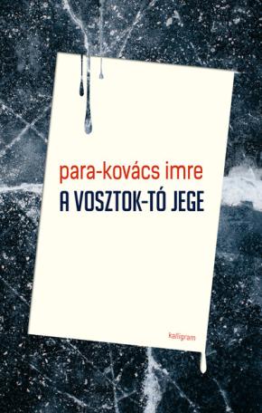 A Vosztok-tó jege