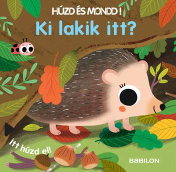 Ki lakik itt? - Húzd és mondd!